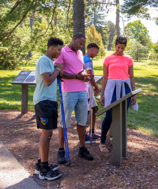 The Morton Arboretum