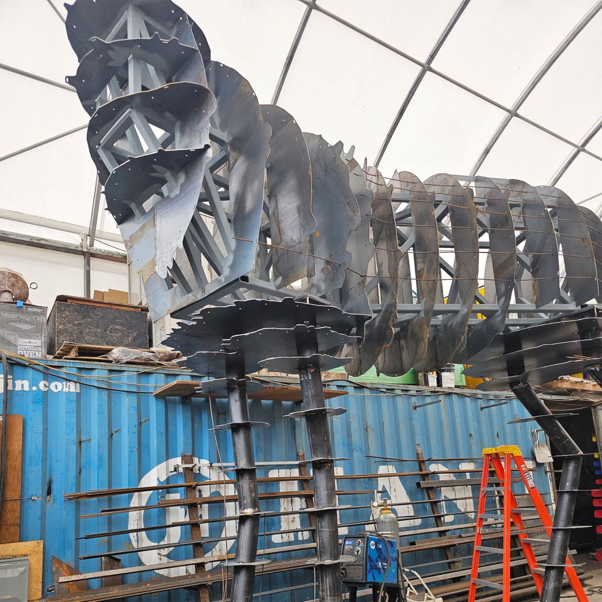 The Morton Arboretum