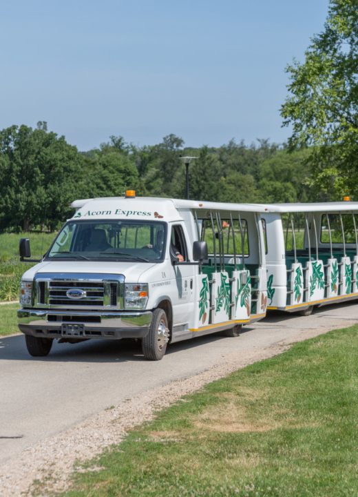 Photograph of Acorn Express Tram Tour vehicle driving through The Morton Arboretum's East Side