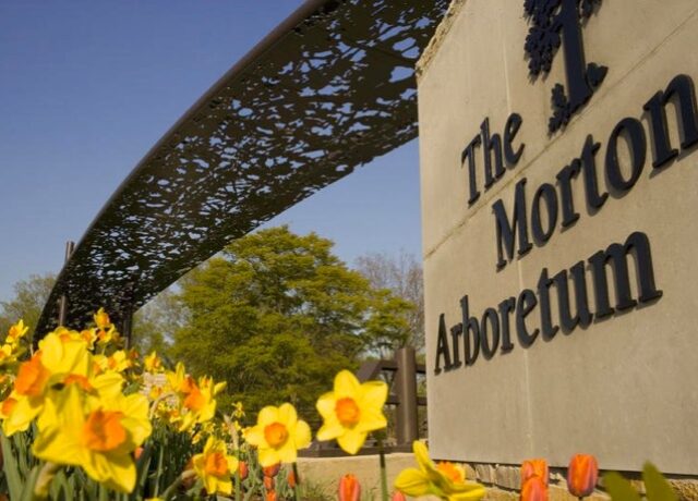 The Morton Arboretum