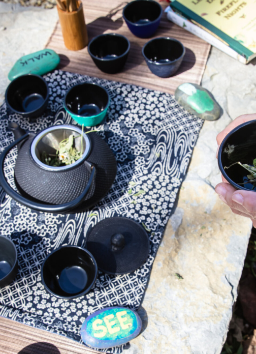 A tea ceremony set up in the middle of the woods during a forest therapy walk.