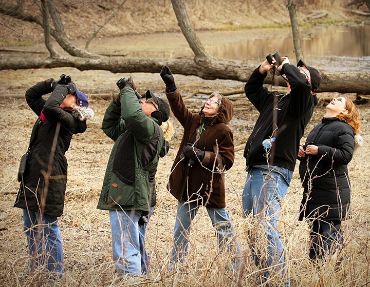 People look through binoculars for birds in trees