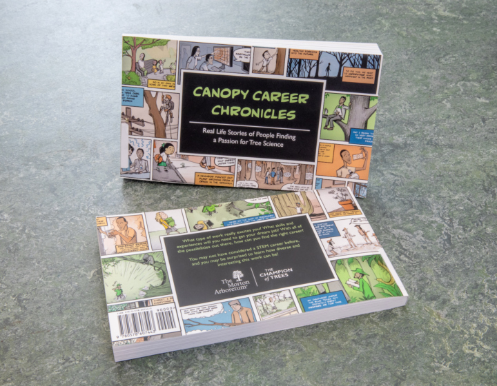 The Morton Arboretum