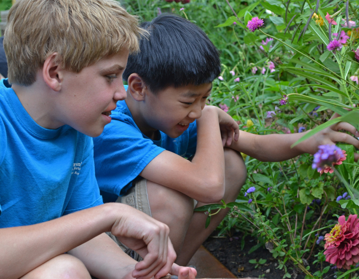 The Morton Arboretum