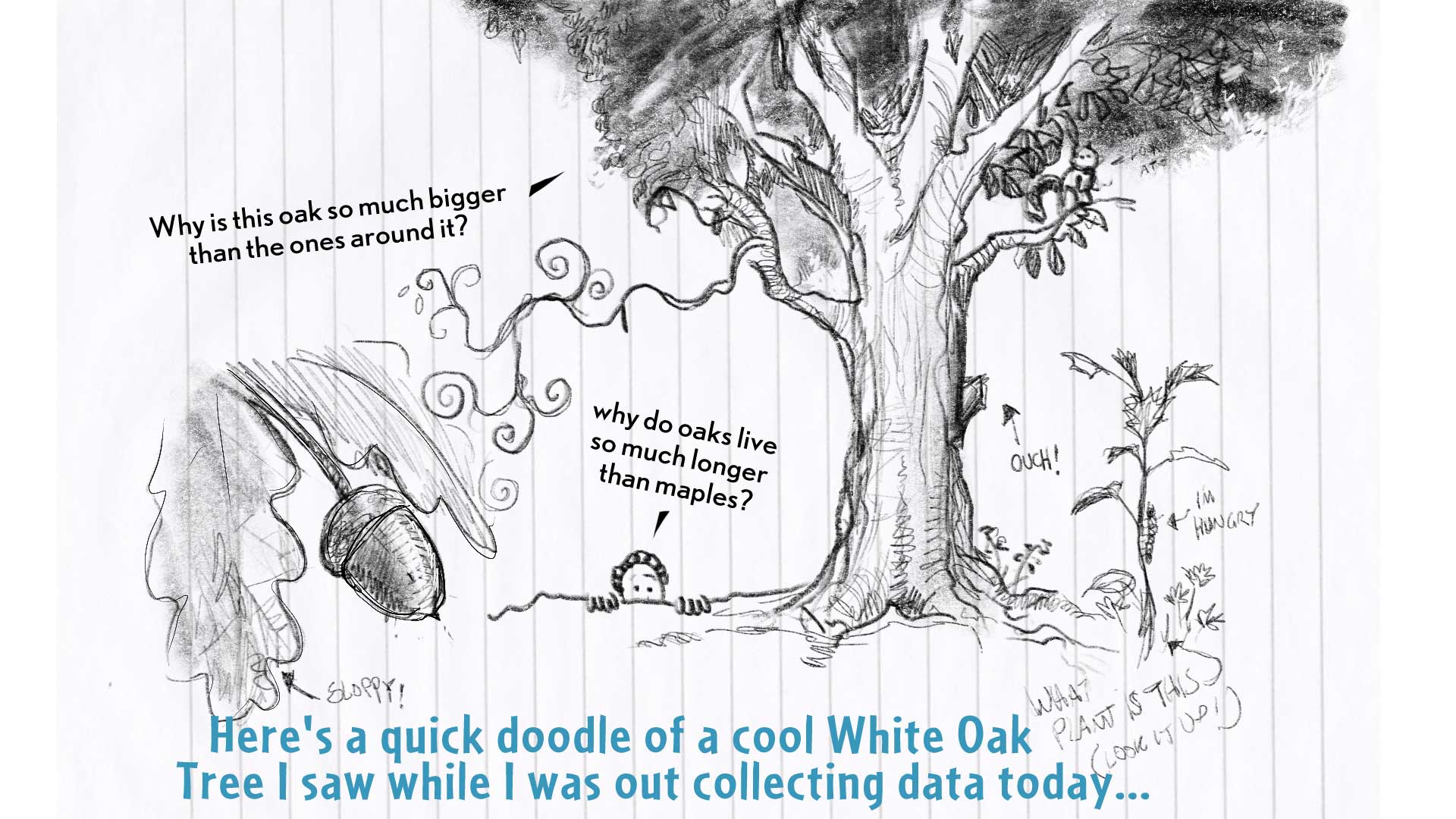 Chloe, the narrator, says, 