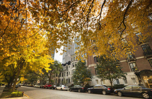 Historic homes in Chicago with yellow trees in Fall