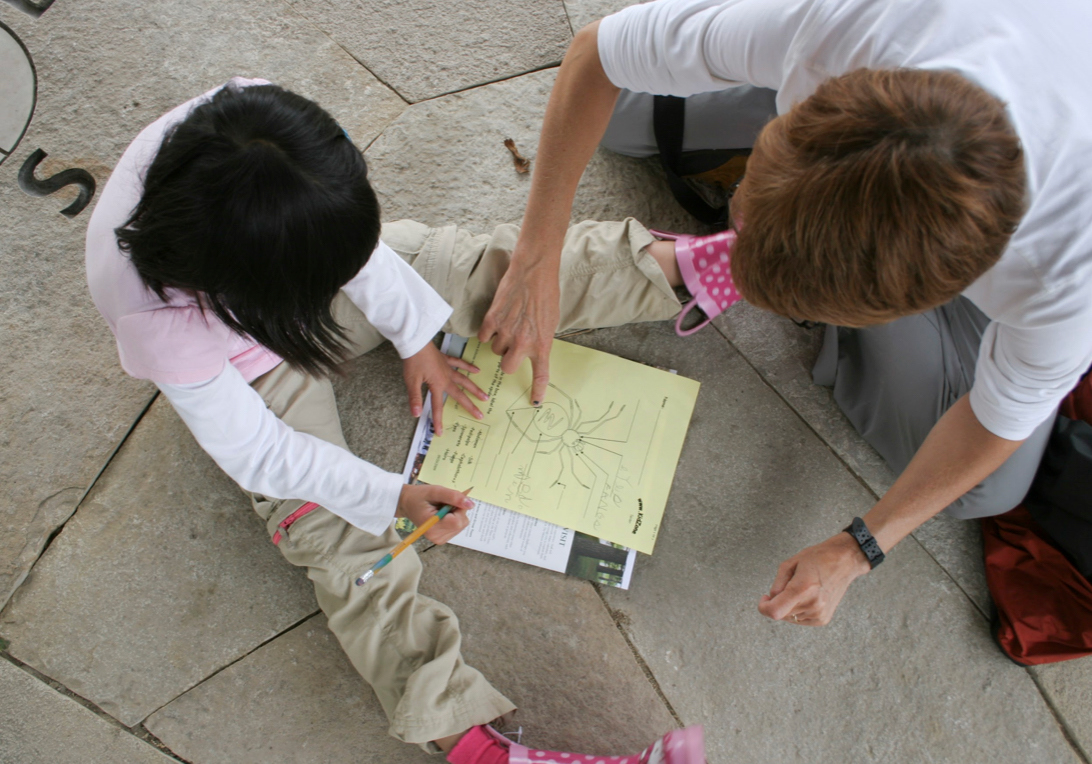 The Morton Arboretum