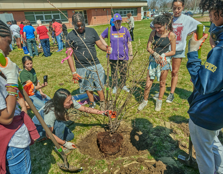 The Morton Arboretum
