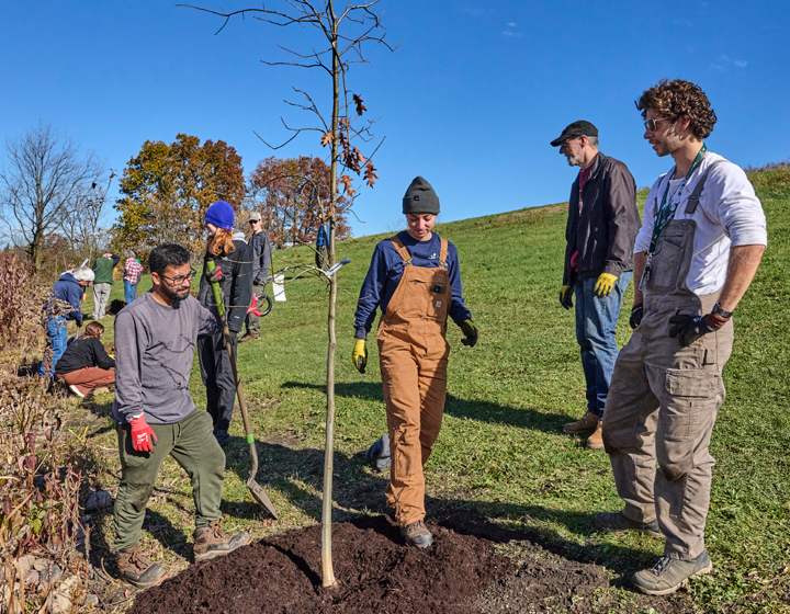 A volunteer group plants trees at a local college.