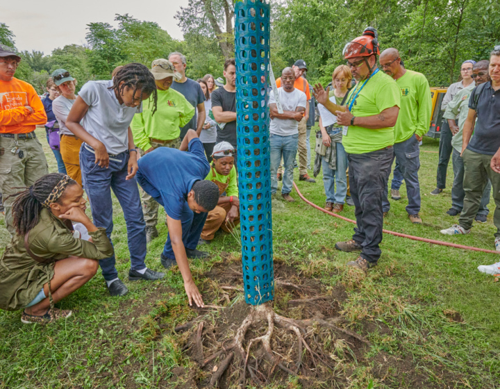 The Morton Arboretum