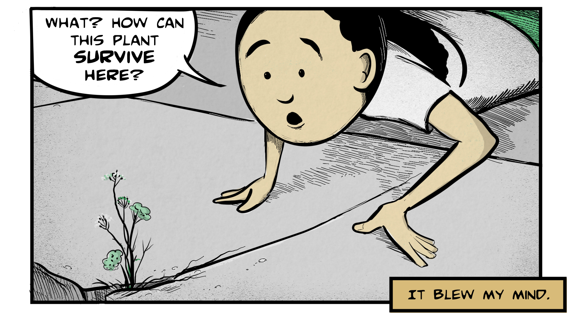 Dina, the narrator, says, 
