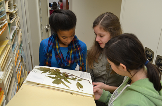 Field trip class looking at herbarium samples