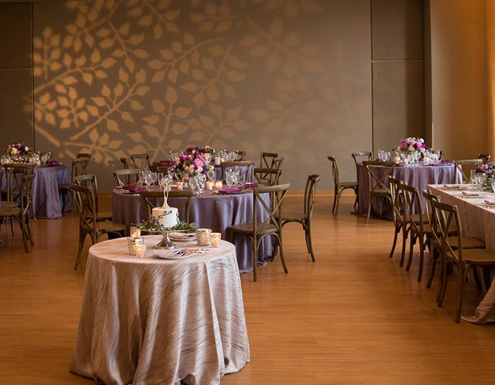 The Morton Arboretum