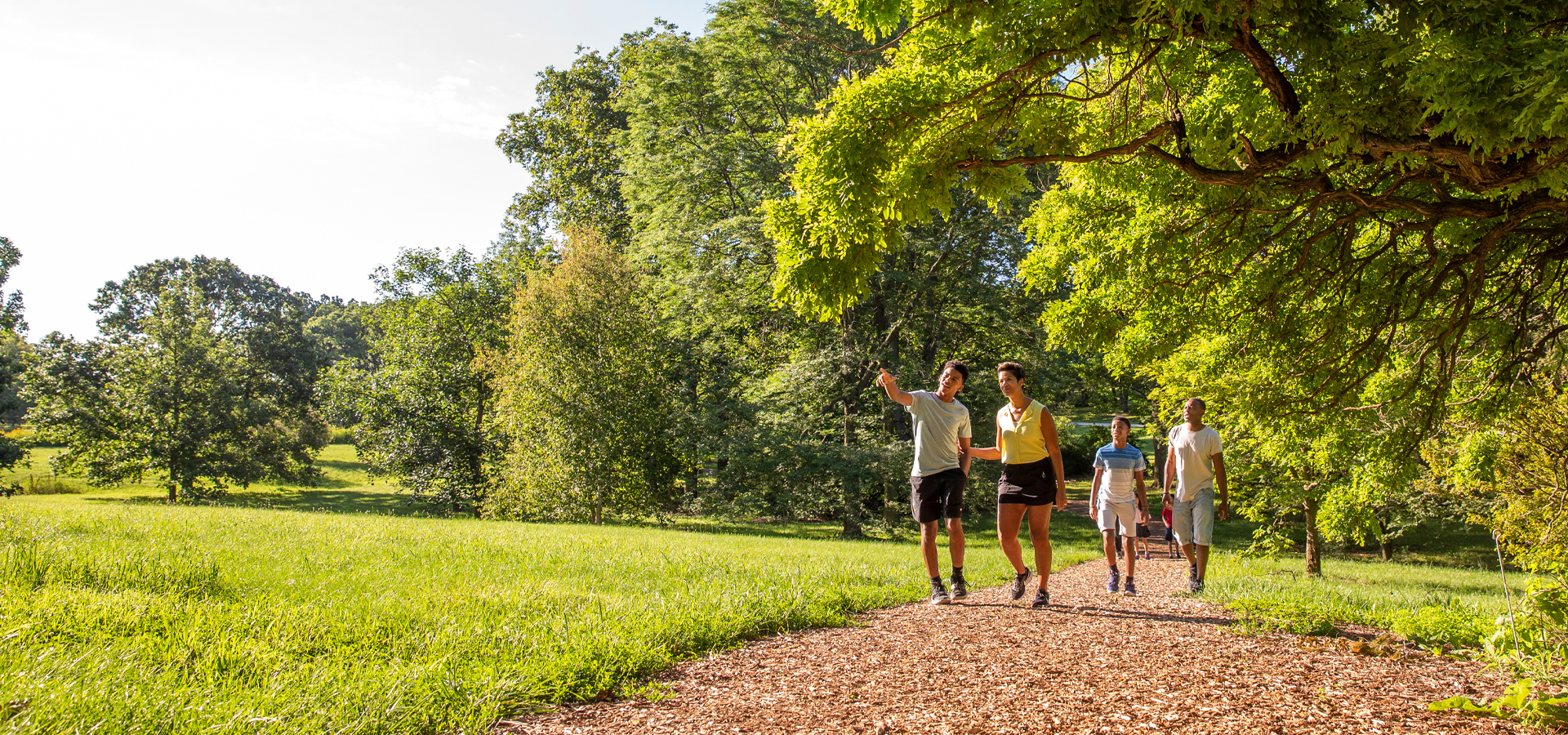 Family hiking among trees