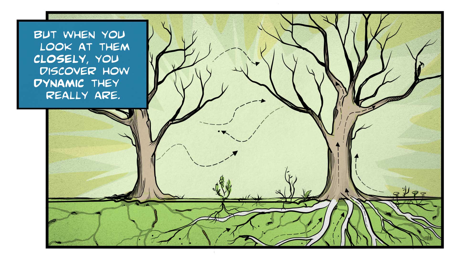 Felix, the narrator, says, 
