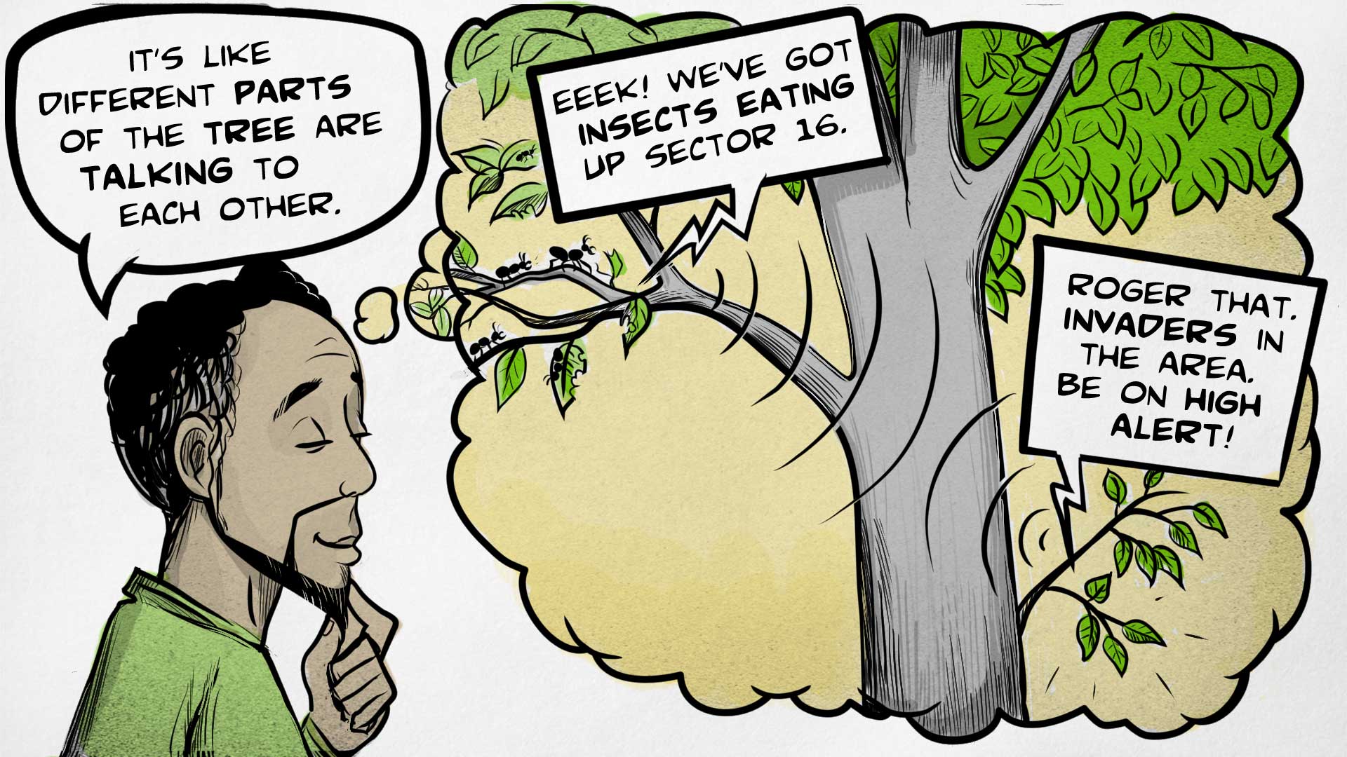 Felix is imagining the secret life of trees. He says, 