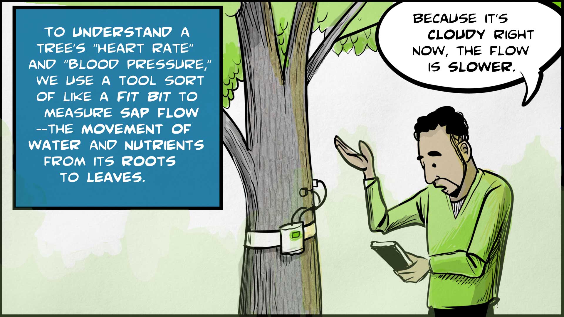 Felix, the narrator, says, 