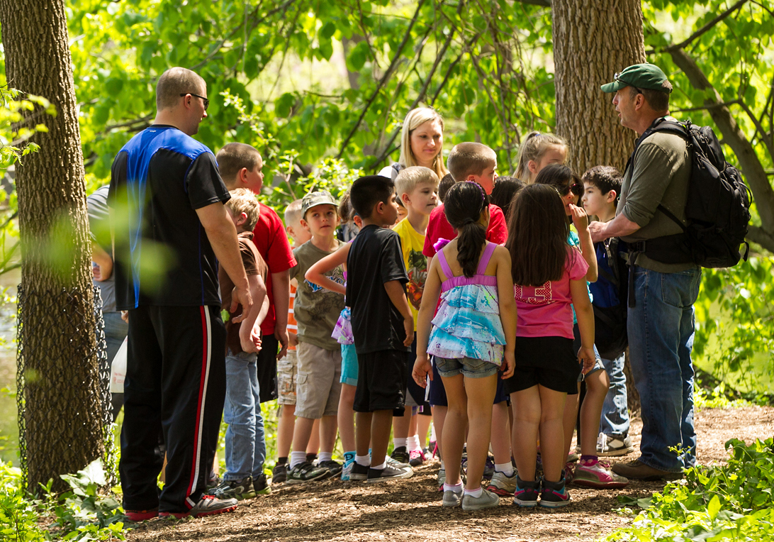 Field trip in the woods with teachers