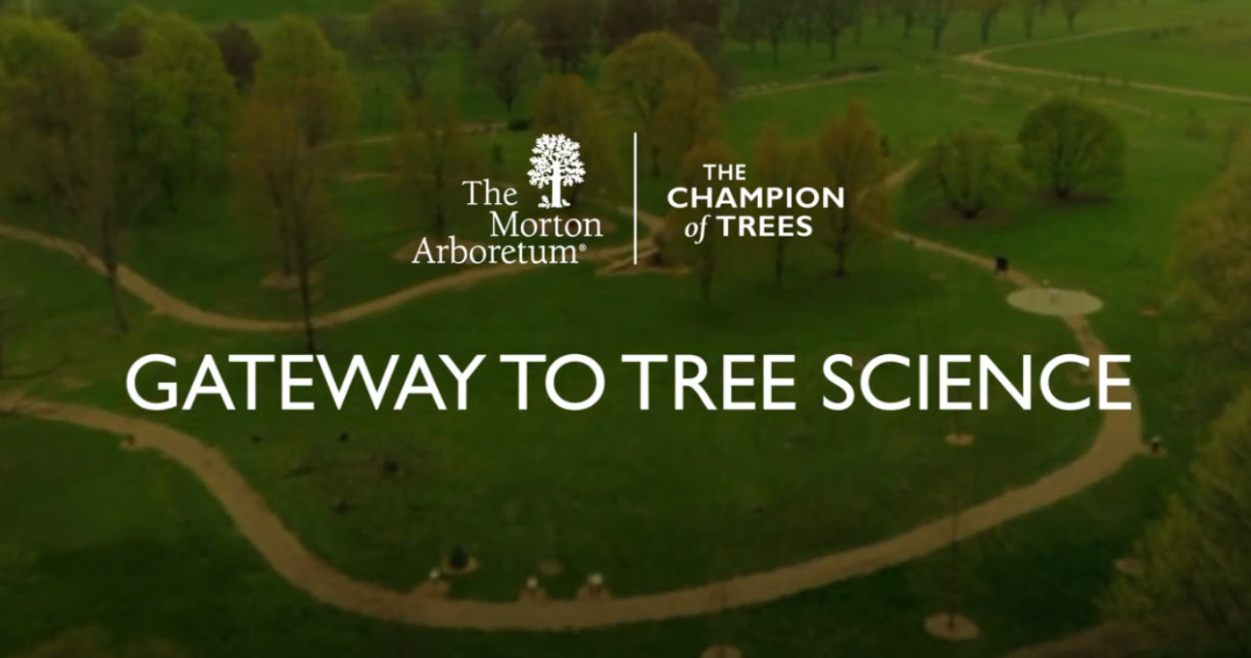 Thumbnail image showing The Morton Arboretum's Gateway to Tree Science from an aerial shot above