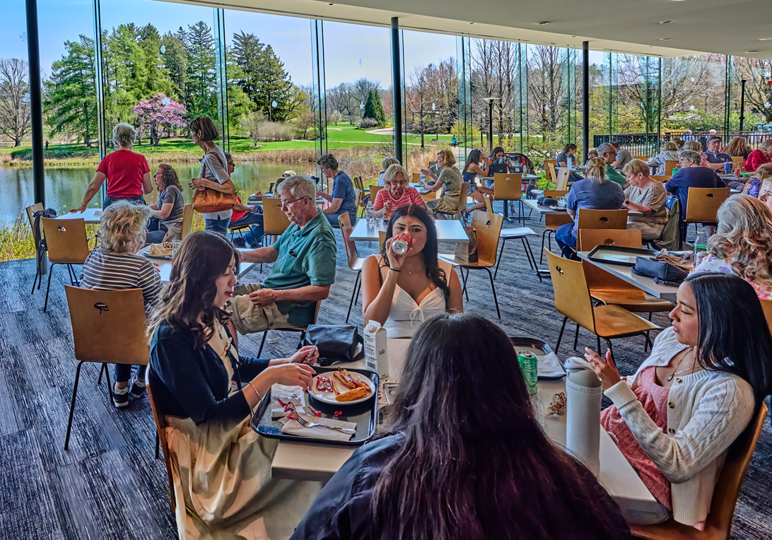 The Morton Arboretum