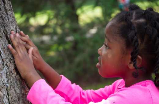 Young girl touching a tree trunk