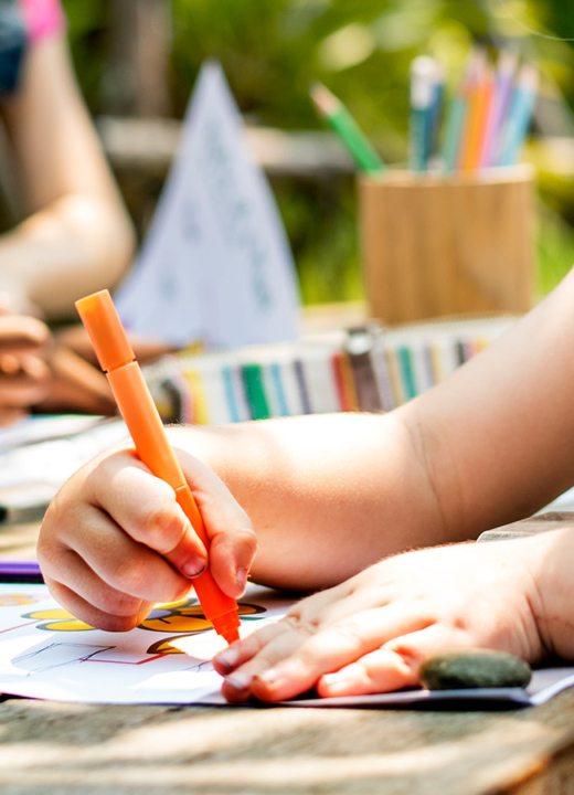 The Morton Arboretum