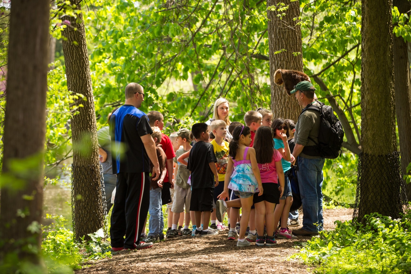Group of students with teacher in summer woods