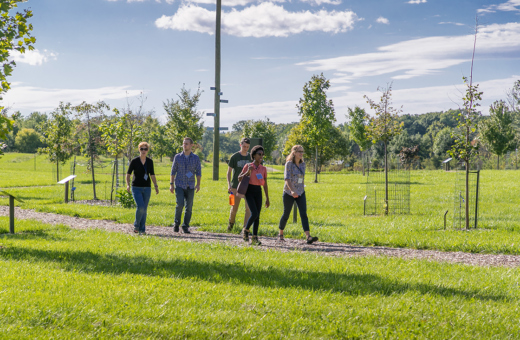 Group walks through the Gateway to Tree Science in Summer