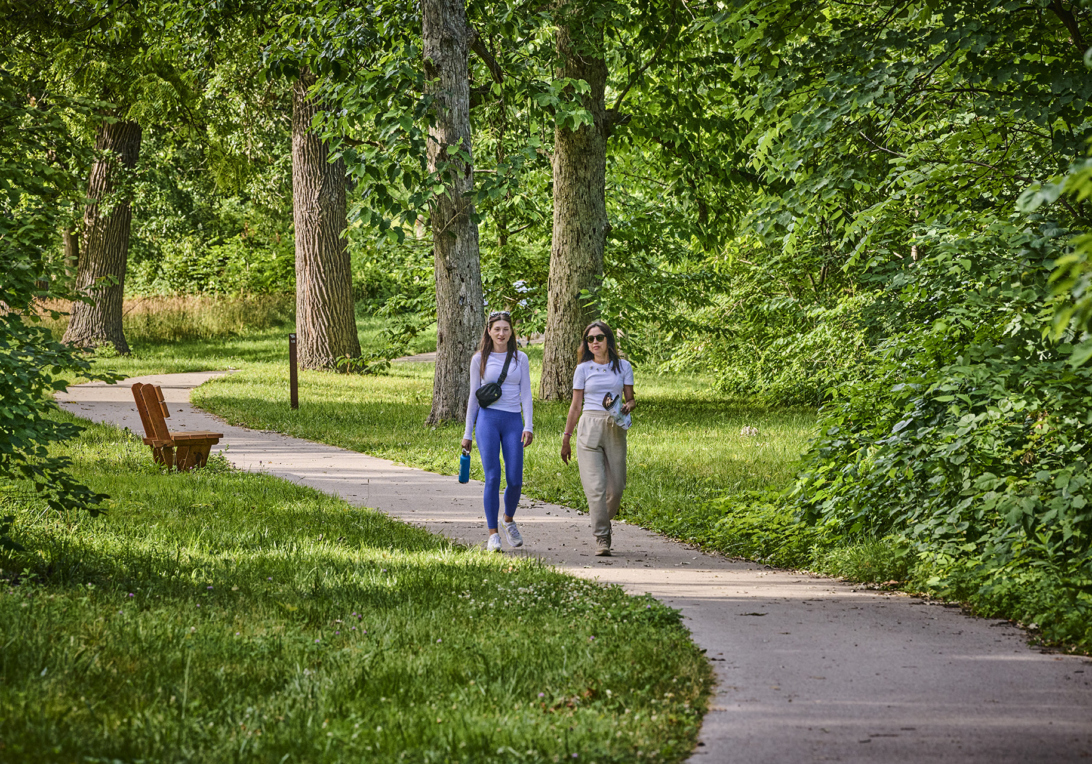 The Morton Arboretum