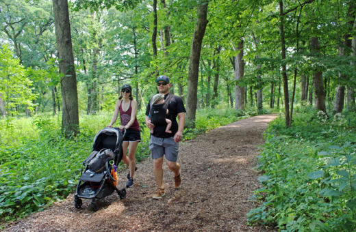 A family with a stroller hikes in the woods in summer