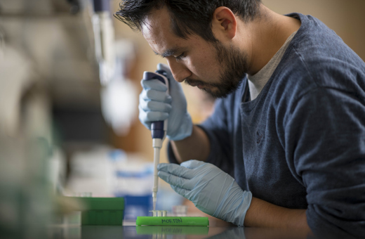 The Morton Arboretum
