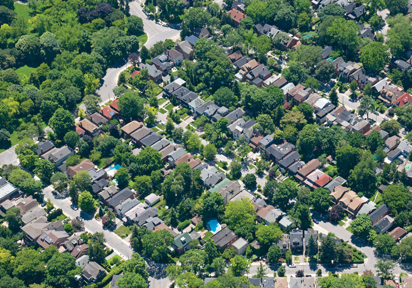 The Morton Arboretum