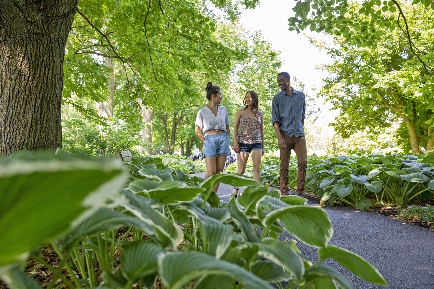 Friends walk in the Ground Cover Garden