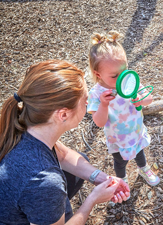 The Morton Arboretum