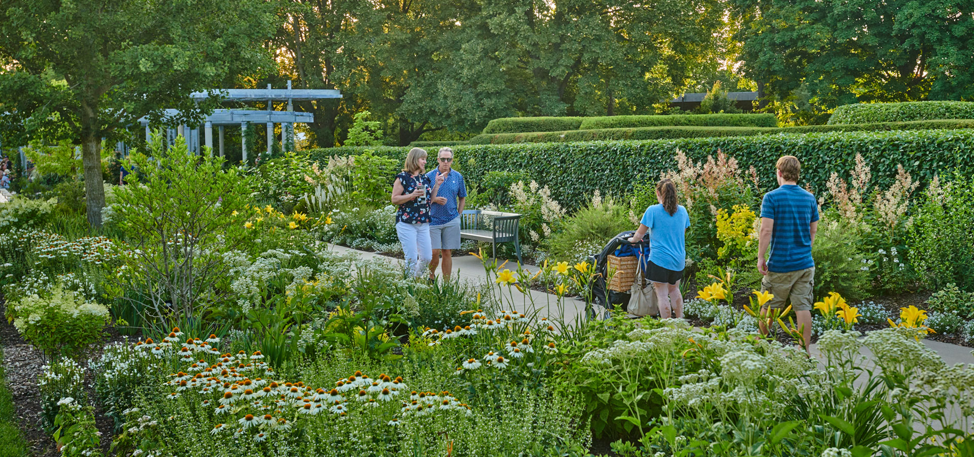 Guests walk through The Gerard T. Donnelly Grand Garden amid summer blooms of white and yellow flowers