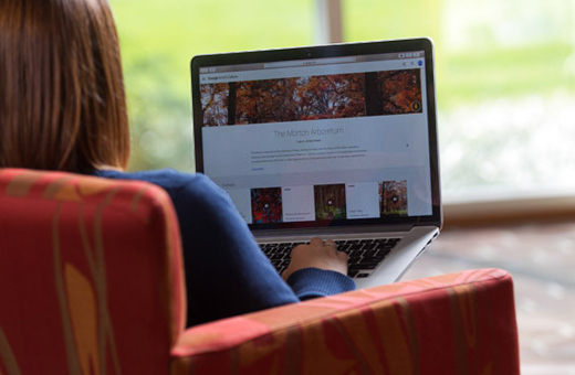 Woman works on computer for online class