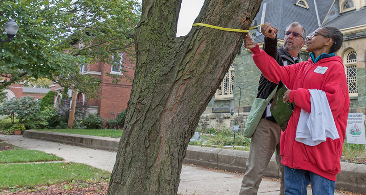 The Morton Arboretum