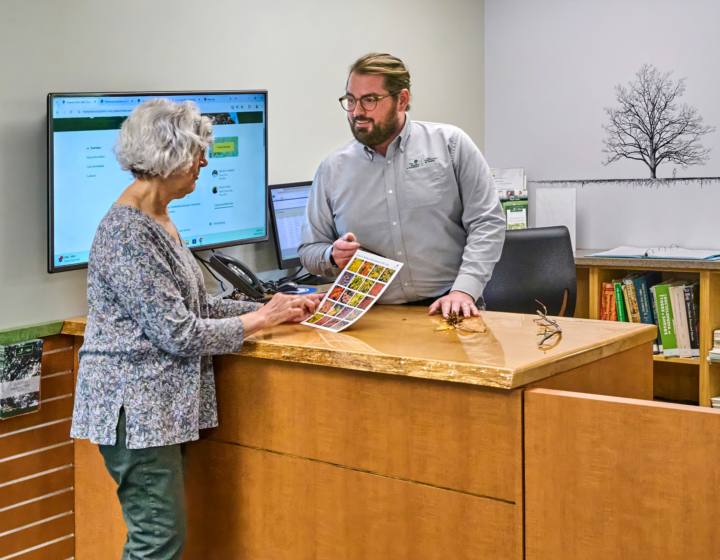 The Morton Arboretum