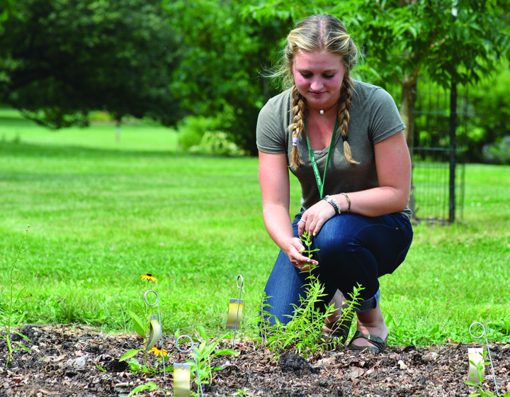 Public horticulture intern with a plant
