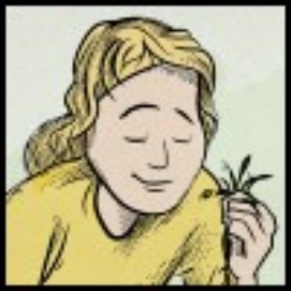 The Morton Arboretum