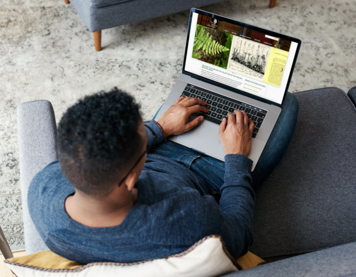 Young man using a laptop to look at library resources on ACORN on the sofa at home