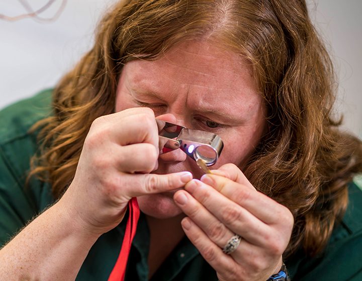 Staff looking at plant through loop