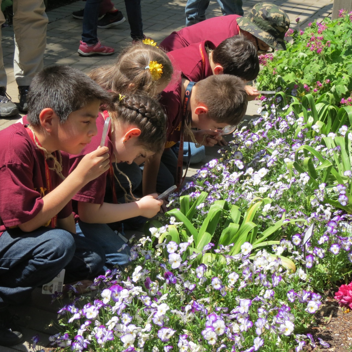 Group of students looking at flowerbed through magnifying glasses