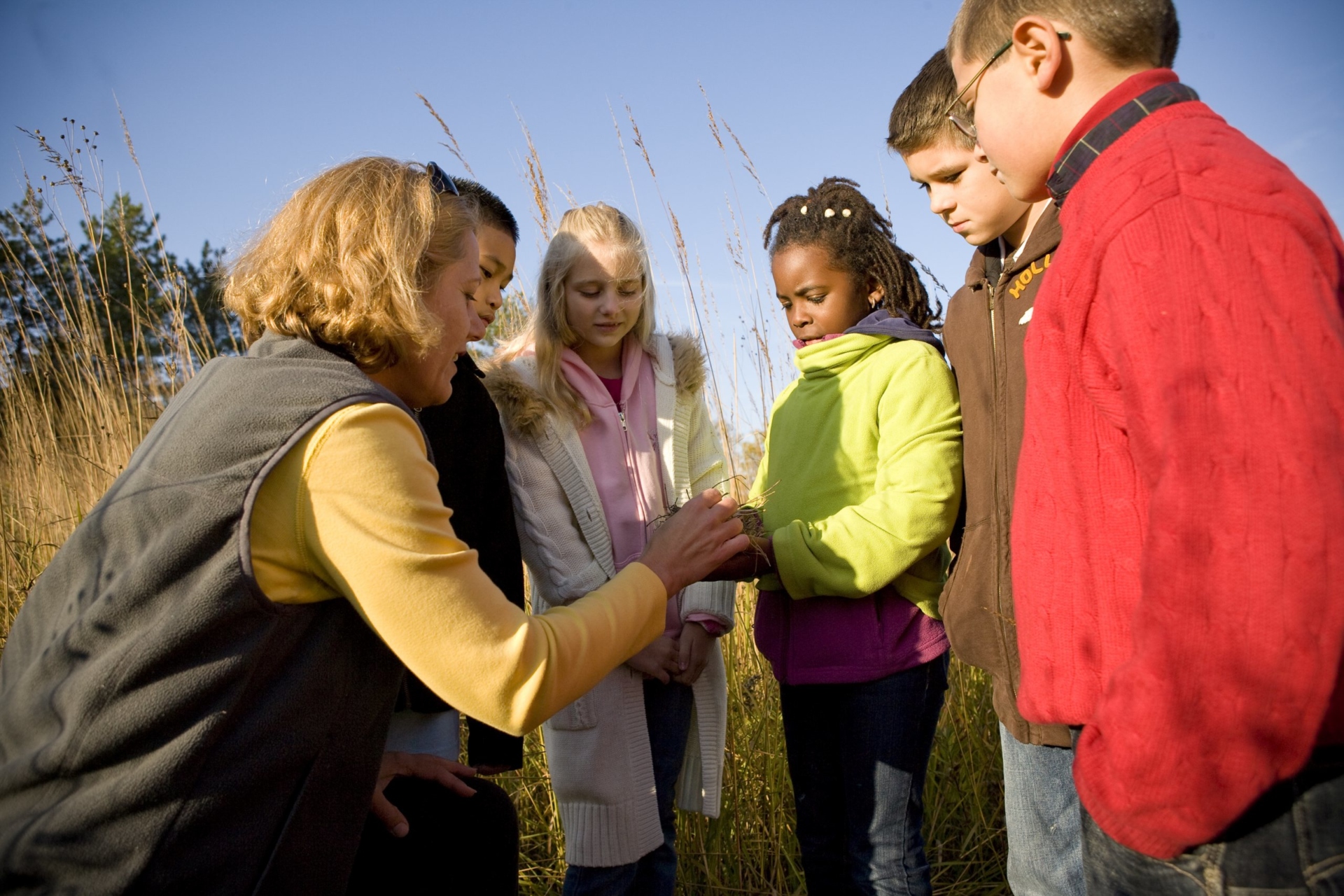 Teacher shows students a plant in the prairie