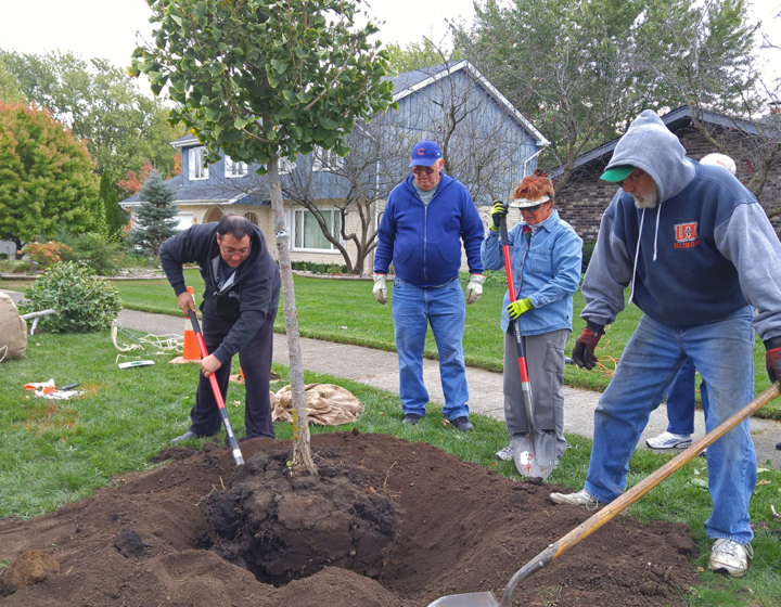 A group of people plant a tree in a neighborhood