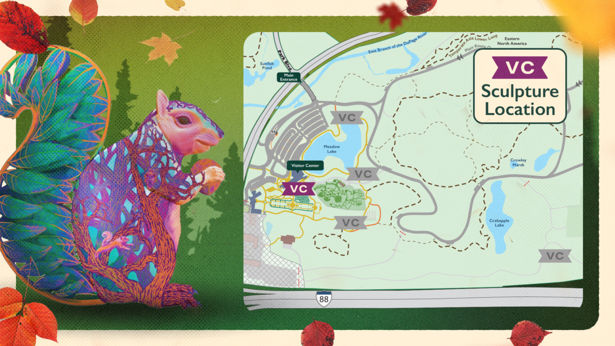 Artist's rendering of Scamp the fox squirrel and a map showing sculpture locations.