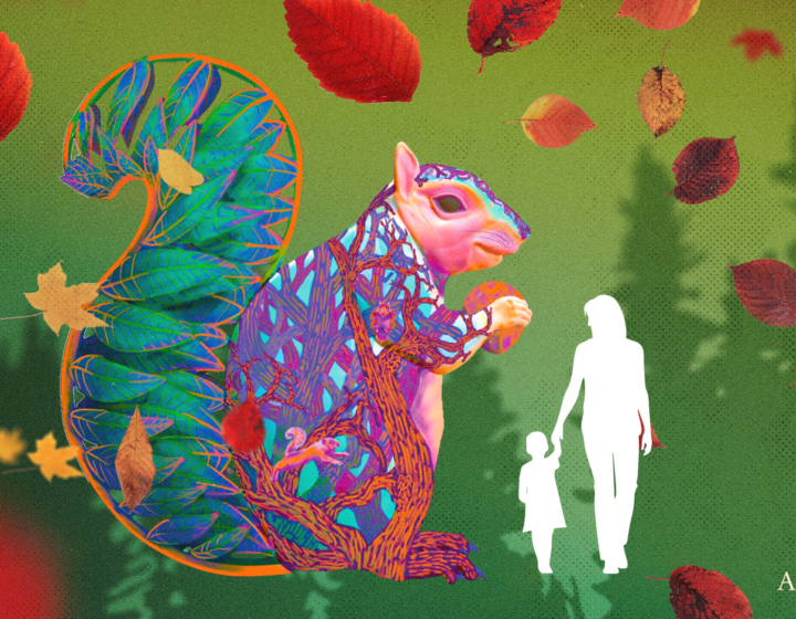 The Morton Arboretum