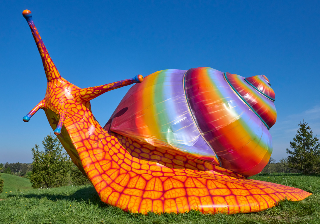 Spectra the brittle snail looks out over the berm by Crabapple Lake as its rainbow shell shines brightly.