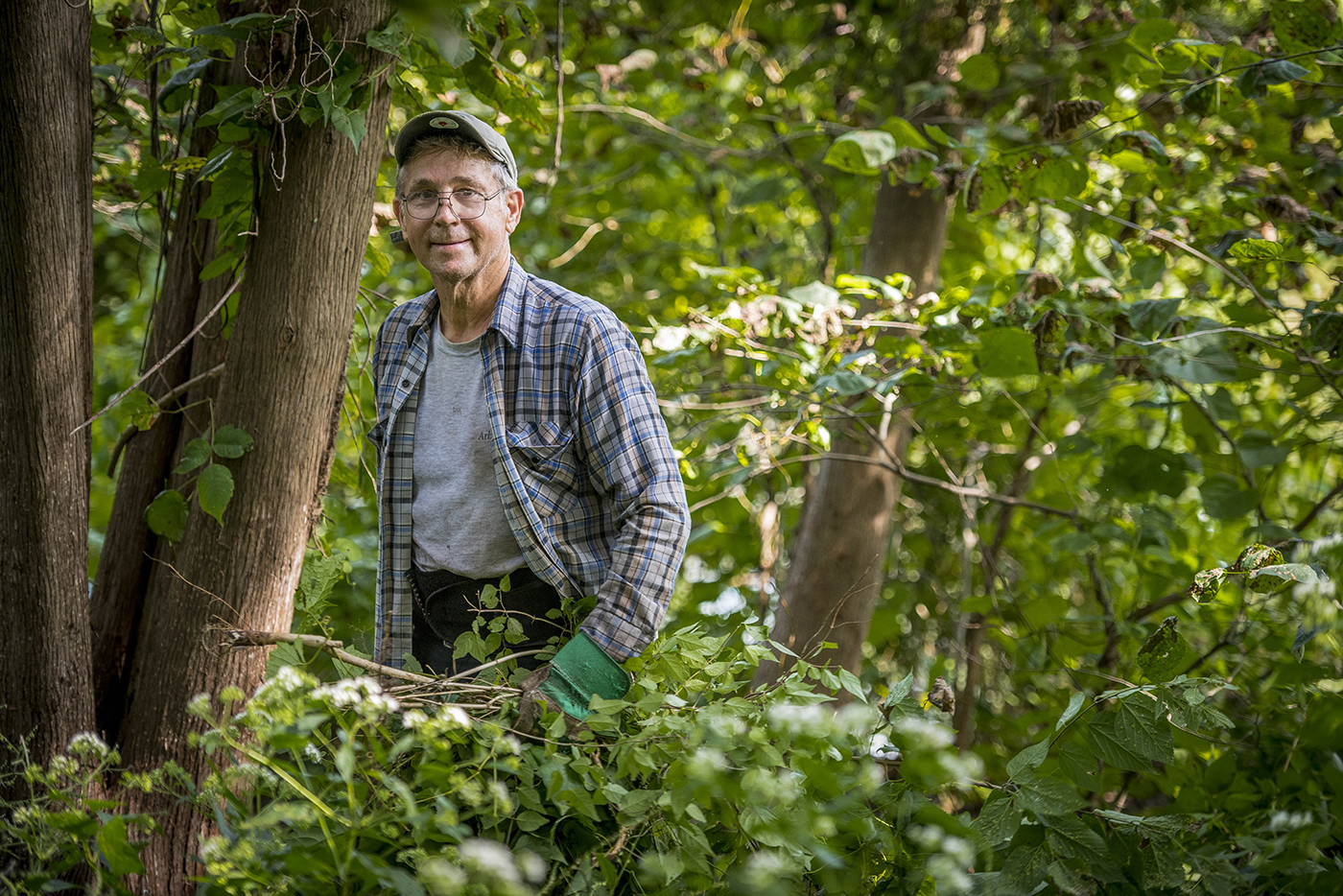 Volunteer in woods doing restoration work