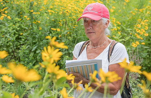 Woman in a plant ID class looking at flowers